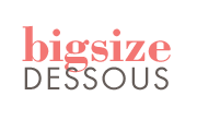 bigsize DESSOUS logo
