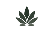 WeBelieve logo