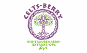 Celts-berry logo