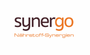 Synergo logo