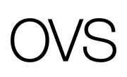 OVS logo